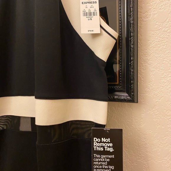 Express black and white halter dress. Zipper back, mesh around waist. SZ LG nwt - Picture 3 of 6